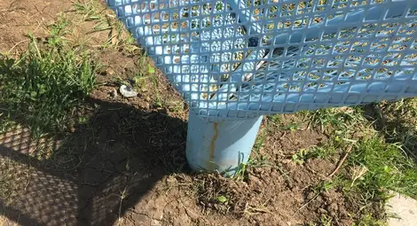 Привлекателността на надписа &bdquo;РУСЕ&ldquo; се обърна срещу него