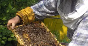 От 2 април тръгват семинари за земеделци