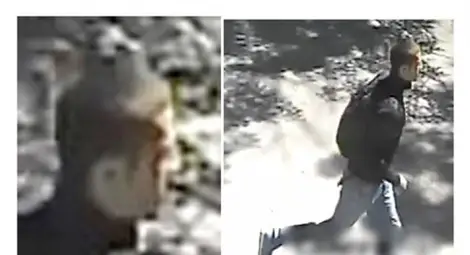 Двама братя арестувани за убийството на Георги в Борисовата градина