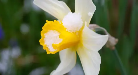 Студено, ветровито и дъждовно за април