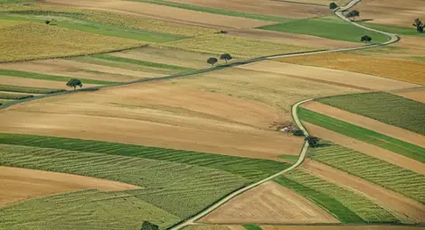 Между 71 и 84 лева са стартовите ренти в търговете за отдаване на държавните ниви Между 71 и 84 лева са стартовите ренти в търговете за отдаване на държавните ниви