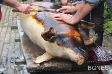 Настана свинско време