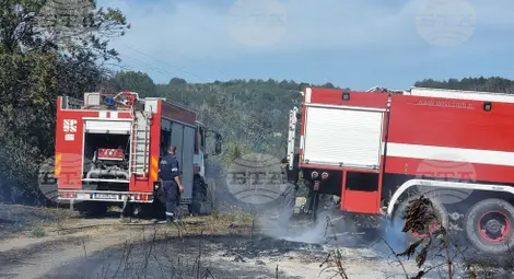 Снимка: БТА