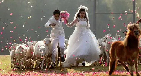 Прекомерното щастие също може да навреди на сърцето