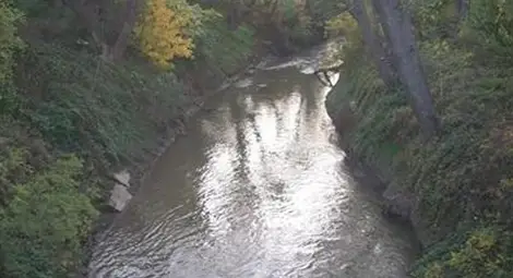 21-годишен в неизвестност след скок в Лома 21-годишен в неизвестност след скок в Лома