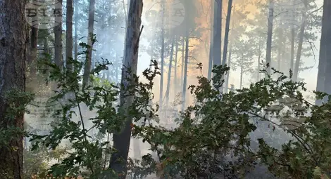 Снимка: БТА