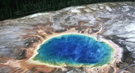 Кипяща кал, реки от пара и вкаменени дървета показват как се пази природата Кипяща кал, реки от пара и вкаменени дървета показват как се пази природата