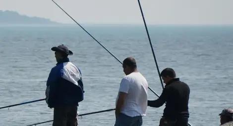 Риболовът на щука и распер е разрешен Риболовът на щука и распер е разрешен