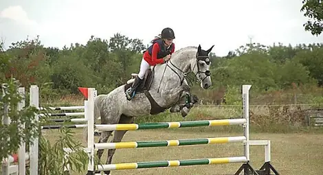 Русе отново е домакин на Държавно първенство по Всестранна езда Русе отново е домакин на Държавно първенство по Всестранна езда