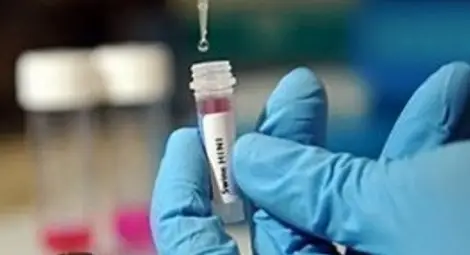 Създадоха смъртоносен щам на свинския грип