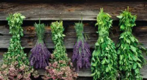 Народът празнува св. Врач, Красимир и Дамян черпят за имен ден