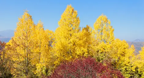 Тихо време през уикенда с температури около 20 градуса