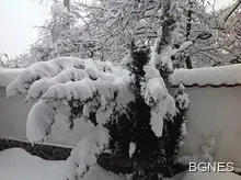 Отново снеговалежи и виелици над страната
