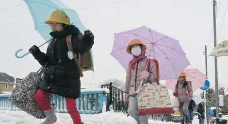 Обилен сняг предизвика транспортен хаос в Япония