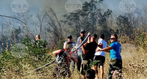 Снимка: БТА Снимка: БТА