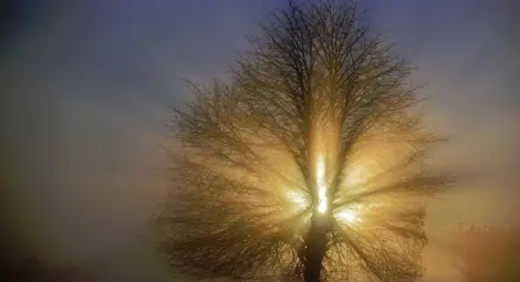 Предимно слънчево в първия работен ден на Новата година