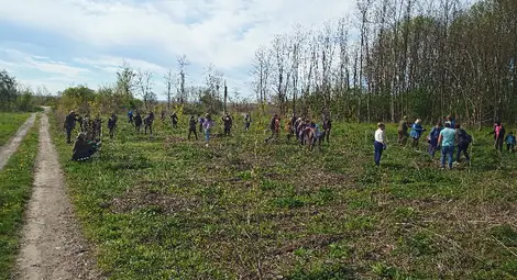Държавно ловно стопанство &bdquo;Дунав&ldquo; &ndash; гр. Русе обедини представители на държавния и неправителствения сектор в залесителска акция