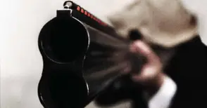 Бивш политик гръмнал улично куче в Мартен?