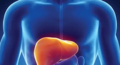 Кое е не по-малко опасно за черния дроб от алкохола Кое е не по-малко опасно за черния дроб от алкохола