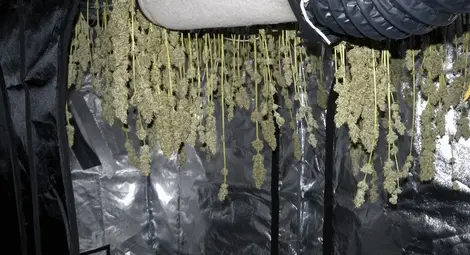 Къща в тих квартал на Бяла превърната в модерна наркоферма