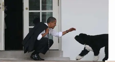 Семейство Обама + 1