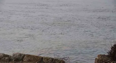 Нафта оцвети Дунав под пасарелката