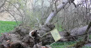 Мълчаливи титани пазят „Русенски Лом“