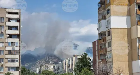 Снимка: БТА Снимка: БТА