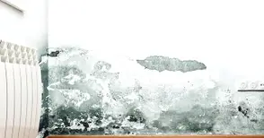 Влага в апартамента - какво да правим?