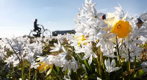 Слънце и дъжд ще се редуват през новата седмица