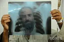 Жълтата гостенка все така сред хората Жълтата гостенка все така сред хората