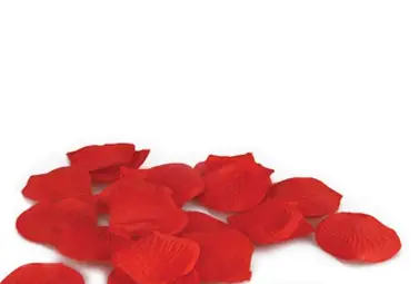 Кои са любимите интимни играчки на мъжете и жените?