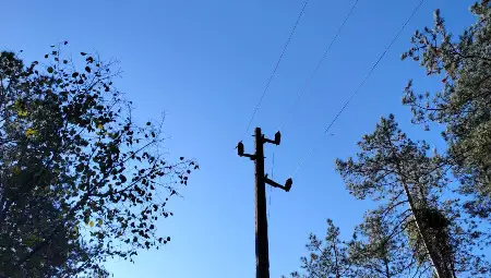 Премахват опасни дървета в района на главния електропровод&nbsp;  около село Пепелина