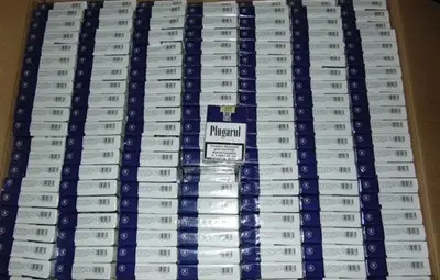 Над 1 700 000 къса контрабандни цигари иззеха граничари на ГКПП – Силистра Над 1 700 000 къса контрабандни цигари иззеха граничари на ГКПП – Силистра