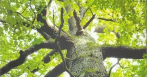 Хърватската писателка Соня Зубович гостува със своя книга в Екомузея