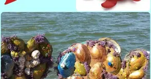 Деца от социални центрове правят гигантска плюшена риба и ято малки водни обитатели