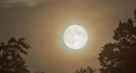 Последната суперлуна за годината ще изгрее на небето довечера