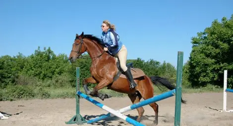 Хиподрумът става арена от днес на тридневен празник на конния спорт