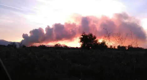 Огромен пожар бушува в склад за лавандула край Казанлък