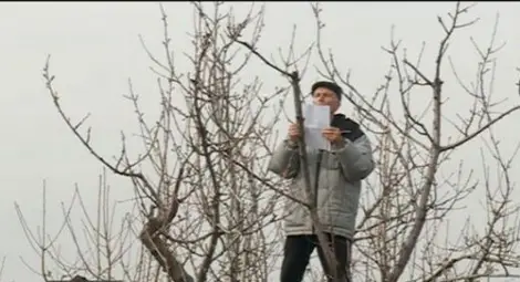 Пенсионер от Пазарджик се готви за рекорд - 1000 коремни преси Пенсионер от Пазарджик се готви за рекорд - 1000 коремни преси