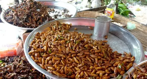 Как да се справим с кулинарните шокове в чужбина