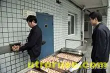 Миризмата на развалени яйца забавя стареенето Миризмата на развалени яйца забавя стареенето