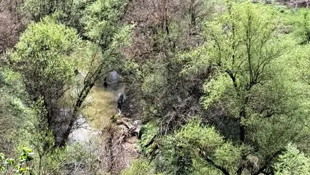 РИОСВ-Русе: Замърсяването, което умори риба и раци в Черни Лом, не е от промишлен източник