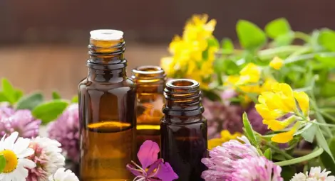 &bdquo;Карина&ldquo; ще прави дестилерия за етерични масла в Бъзън