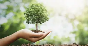 „Паркстой“ дарява фиданки за залесяване между блоковете две поредни съботи