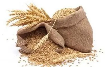 ТИР разпиля 2 тона жито край Петрич, всичко живо събира зърно за кокошките