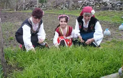 Самардала - най-желаната подправка за гергьовски ястия Самардала - най-желаната подправка за гергьовски ястия