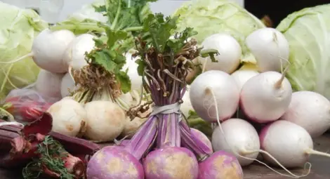 Храни, полезни за белите дробове