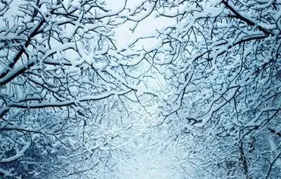 НИМХ: Метеорологичната обстановка в страната ще бъде усложнена