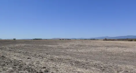 Безснежната зима  тревожи фермерите